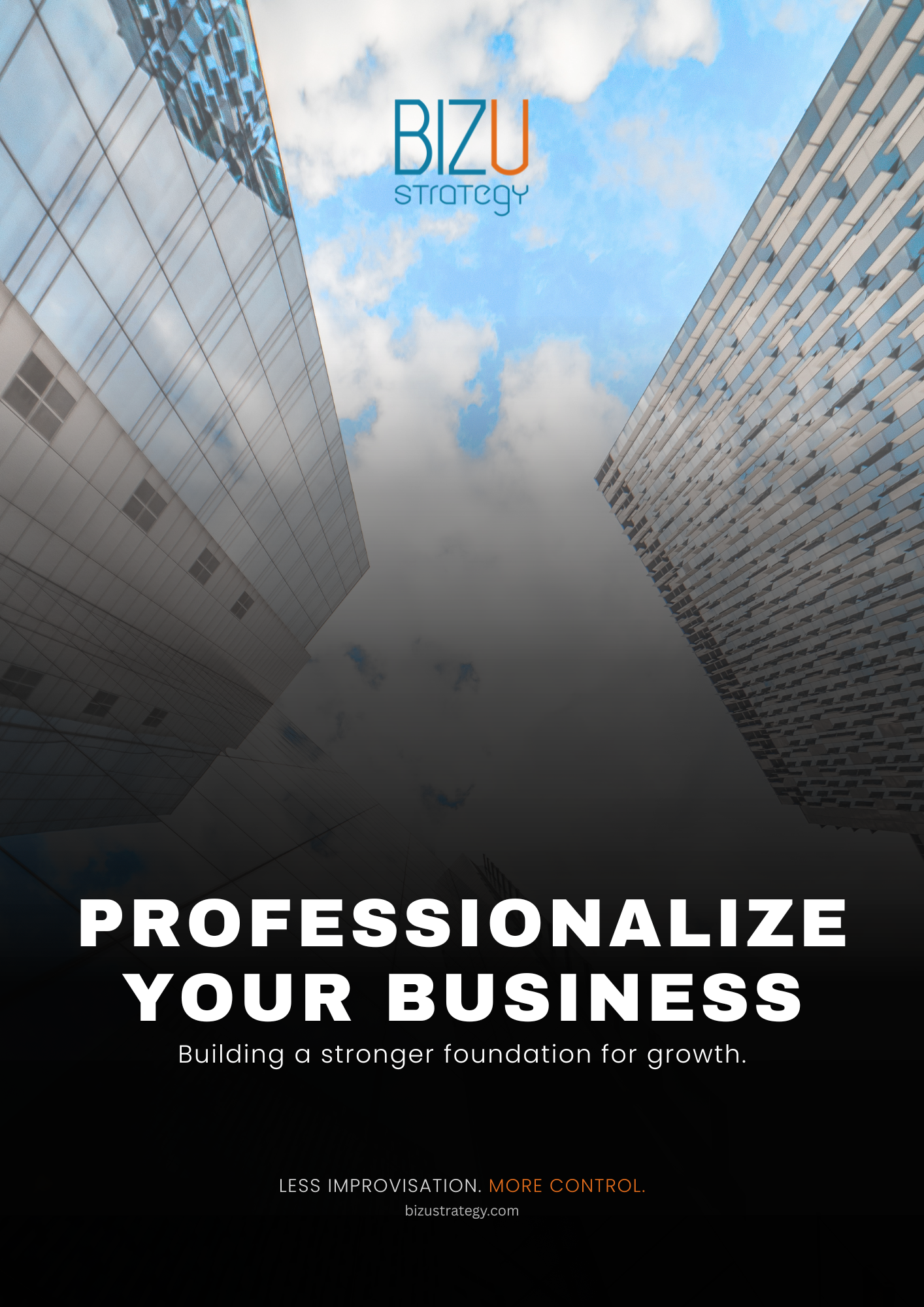 Professionalize Your Business free guide by BIZU Strategy